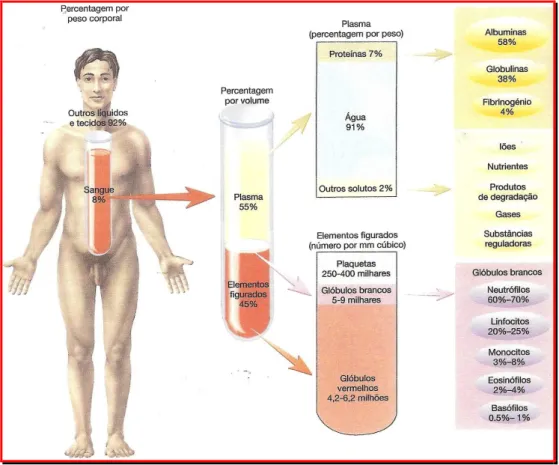 Figura 9. Composição do sangue e seus valores aproximados num adulto normal. 