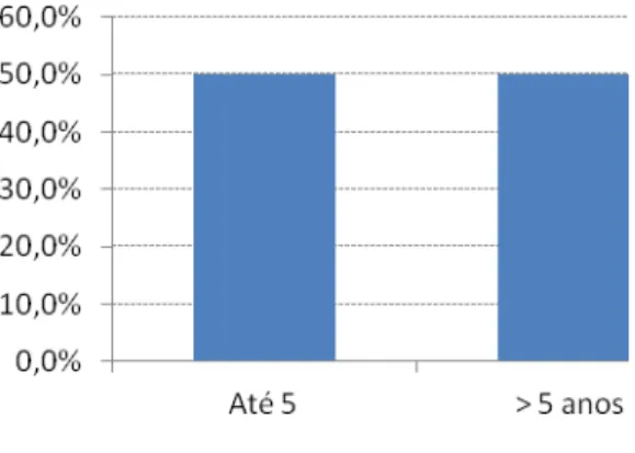 Gráfico 5  –  Antiguidade na empresa  