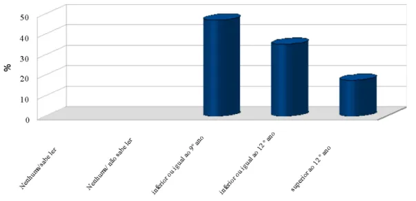 Gráfico 2 – Nível de escolaridade dos produtores 