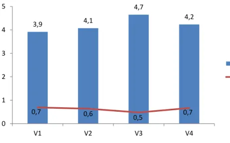 Gráfico 10  –  Oportunidades de Carreira 