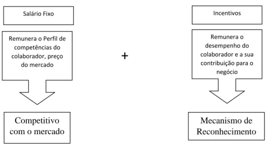 Figura 5 -  Componentes da Retribuição 
