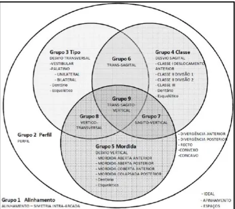 Figura 2. Classificação de Ackerman e Proffit. (Adaptado de Moyers, 1988) 