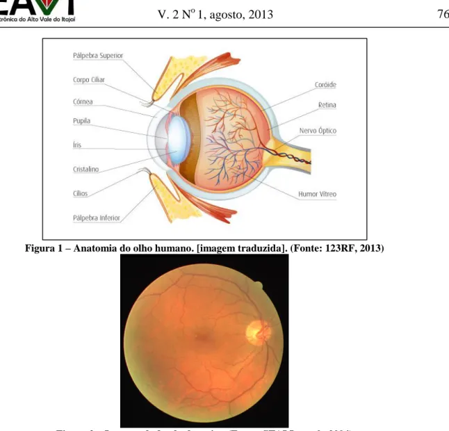 Figura 1 – Anatomia do olho humano. [imagem traduzida]. (Fonte: 123RF, 2013) 