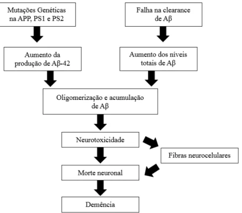 Figura 1. Hipótese da cascata de  -amilóide (Retirado e adaptado de McKenzie &amp; Gray-Donald, 2009)