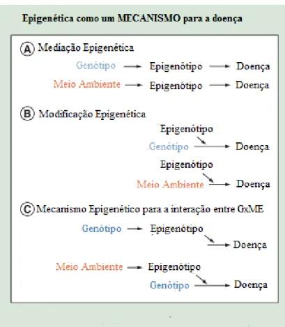 Figura 3. A epigenética como um mecanismo na etiologia da doença (Retirado de Ladd-acosta &amp; Fallin,  2016)