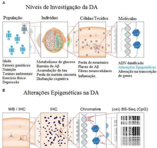 Figura 6. Investigação da DA vs Alterações epigenéticas na DA (Retirado e adaptado de Sanchez-Mut &amp; 