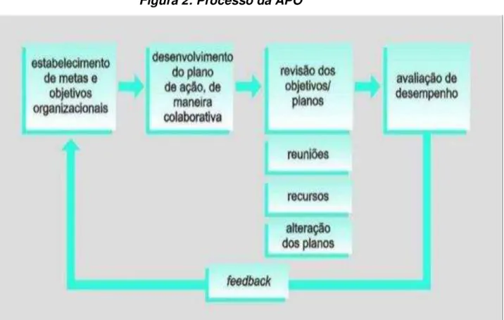 Figura 2: Processo da APO  