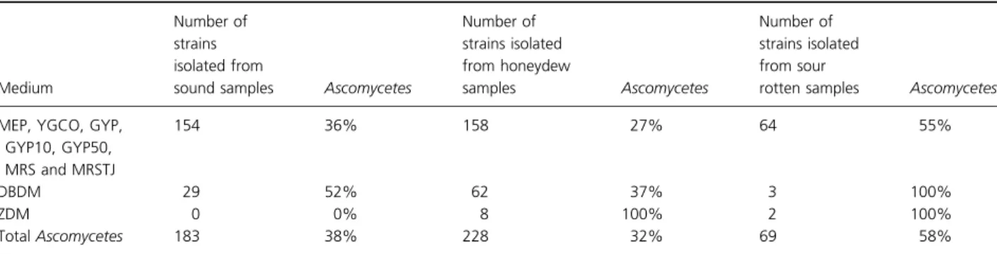 Table 2 Distribution of ascomycetous strains (urease-negative) according to the isolation culture media and grape health, during the 3-year study