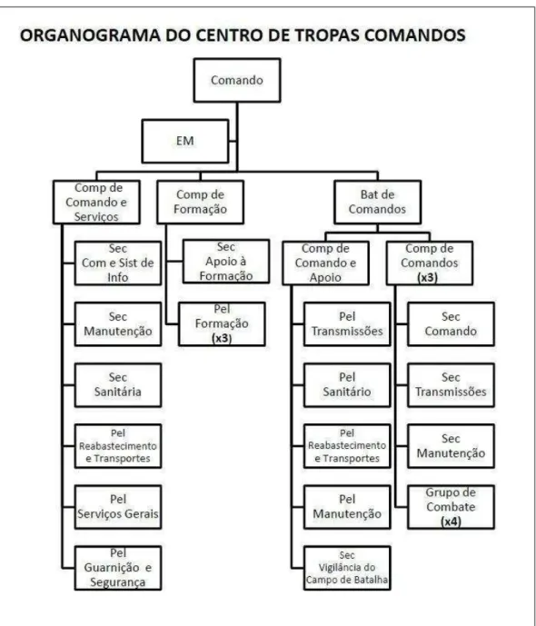 Figura n.º 2 - Organigrama do CTCmds.