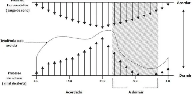 Figura 6 - Regulação do sono pelo processo Circadiano e Homeostático (adaptado de (Doghramji, 2007)) 