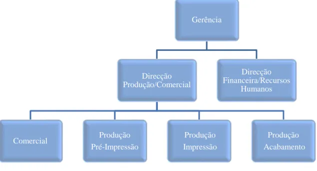 Figura 7  –  Modelo Organizacional da Socingraf 
