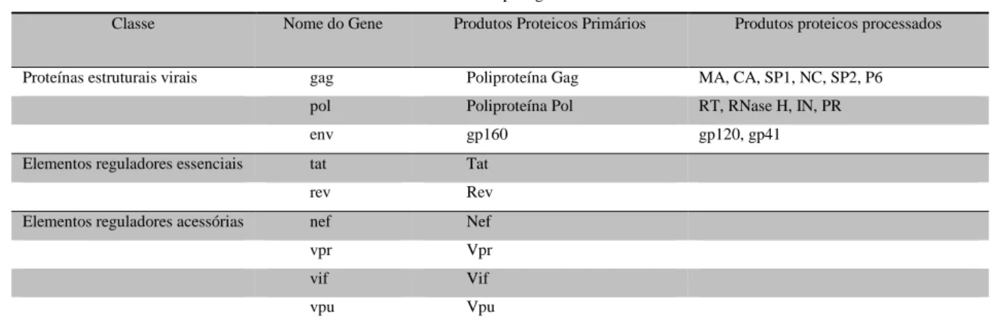 Tabela 1 - Proteínas codificadas pelo genoma do HIV como inferido por Votteler (2009), Menéndez- Menéndez-Arias (2013), Phalora et al
