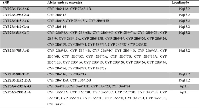 Tabela 2  –  Localização alélica e cromossomal dos SNPs do citocromo P450 relevantes (compilado de: The  Human Cytochrome P450 (CYP) Allele Nomenclature Committee, s.d.; Yale University, 2014) 