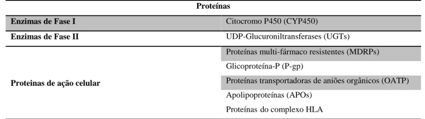 Tabela 3 - Classificação das principais proteínas envolvidas no metabolismo dos ARVs, como  pertencentes a enzimas da fase I, fase II ou de ação celular 