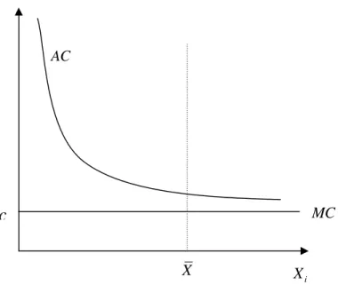 Figure 1. Firm’ s Cost structure 