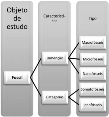 Figura 16 - Representação Esquemática dos diferentes tipos de fósseis  Fonte: Elaboração própria 