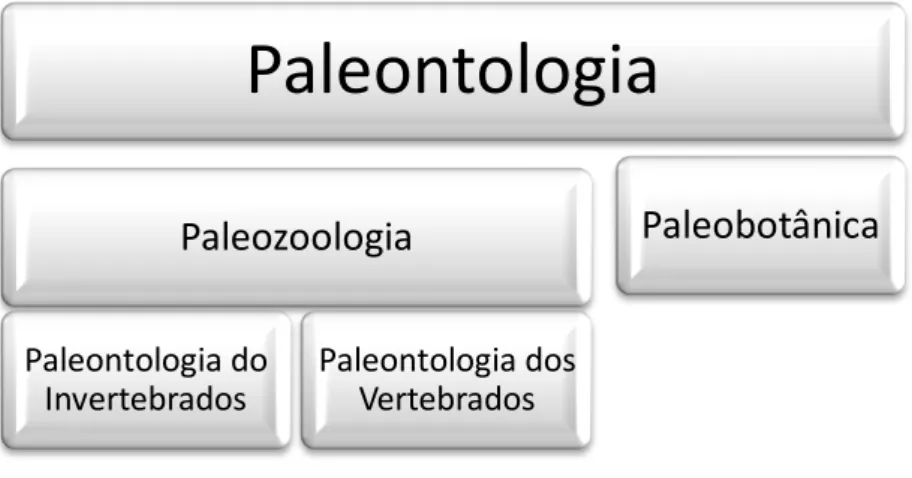 Figura 17  –  Evolução dos ramos da paleontologia  Fonte: Elaboração própria 
