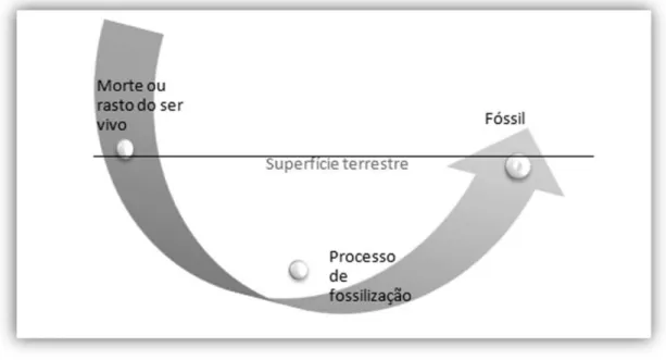 Figura 18 - Representação esquemáticas do processo de fossilização  Fonte: Elaboração própria 