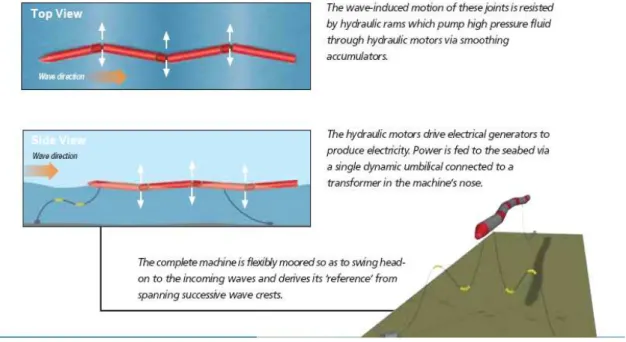 Fig 21. Basic movement made by Pelamis device.                                           