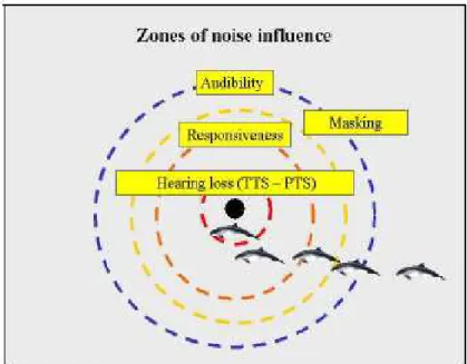 Fig 28. Zones of noise influence. Zones closer to the noise  source would be more harmful than those on the outside part