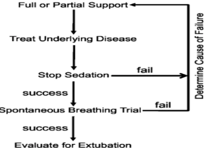 Figura  2.  Uma  abordagem  do  desmame  da  VMI  que  enfatiza  o  tratamento  do  processo  da  doença  subjacente, o suspender da sedação e a realizando testes de respiração espontânea
