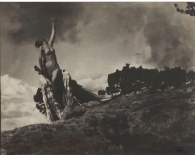 Fig. 5. Soul of the Blasted Pine (Alma do Pinheiro Maldito), Anne Brigman, 1906. Fotografia