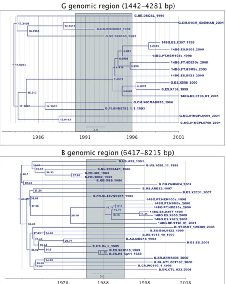 Figure 3. Maximum Clade Credibility Tree for the subtype G and subtype B genomic regions of the CRF14_BG