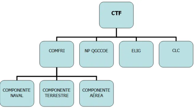 Figura P.2: Organização Operacional Tipo para uma NEO. 