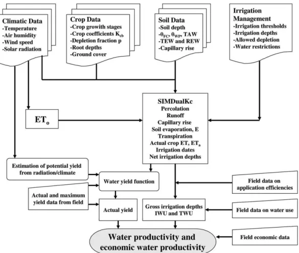 Fig. 1 describes the procedure used to estimate WP, WP Farm