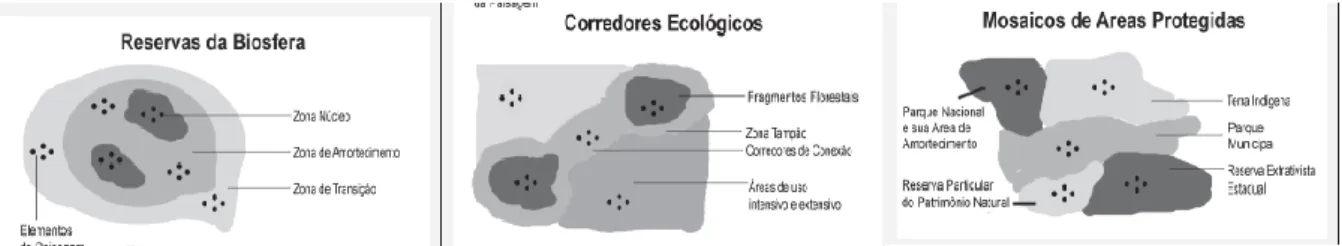 Figura  1  -  Diagrama  com  esquema  dos  instrumentos  de  gestão  territorial:  a)  Reserva  da  Biosfera,  b)  Corredor  Ecológico, c) Mosaico de Áreas Protegidas