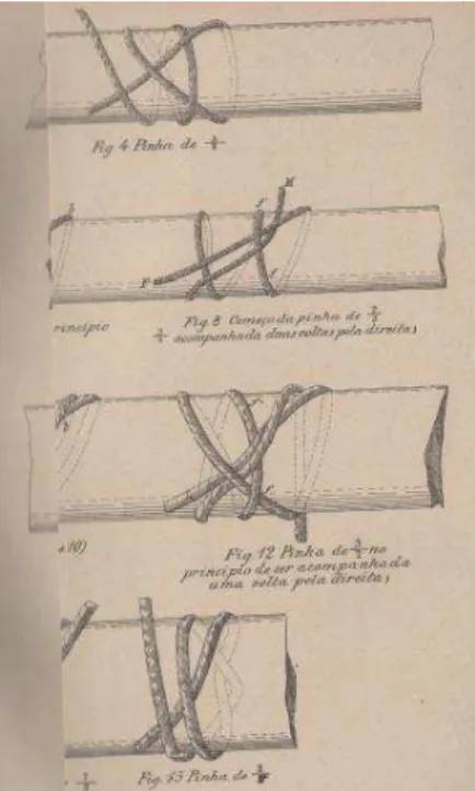 Figura 4 Pinhas de anel