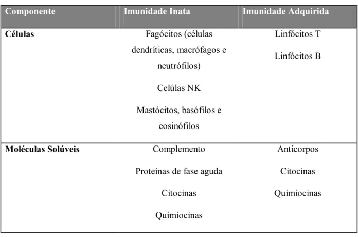 Tabela 2 - Células e moléculas solúveis que constituem o sistema imunitário (adaptada de Cruvinel et al.,  2010) 