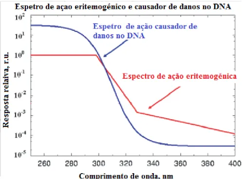 Figura 2 - Espetro com ação eritemogénico e causado de danos no DNA (Gueymard et  al., 2002, McKinlay and Diffey, 1987 ) 