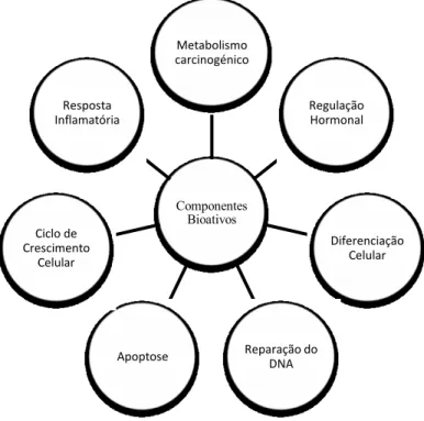 Figura 3 - Os componentes bioativos podem influenciar mecanismos genéticos e epigenéticos nos  processos de doença (Adaptada de Trujillo et al., 2006).