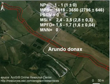 Fig. 8. Invasion of riverbanks by the giant reed; minimum and maximum values of landscape metrics; average ± SD in parentheses for giant reed patches (16 sampling units at River Aveiras, 4 km).