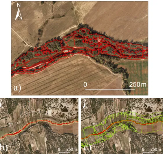 Fig. 2. Illustration of: (a) sampling units and riparian patches, perpendicular lines divide contiguous sampling units, River Sôr; (b) 30 m land use buffer, River Muge; and (c) 200 m land use buffer, River Muge.