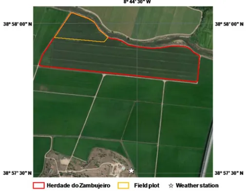 Figure 1. Location of the study site. 