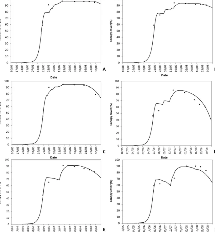 Fig. 7. Selected examples of maize canopy cover (CC) simulated ( ) and observed (䊉) for Sorraia Valley experiments, treatments (A)–(F).