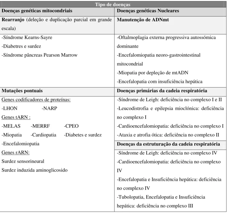 Tabela 1 – Classificação genética das doenças mitocondriais do ser humano. 