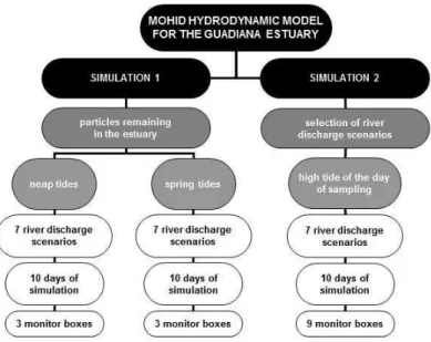 Figure 3. Summary of the two simulation setups.