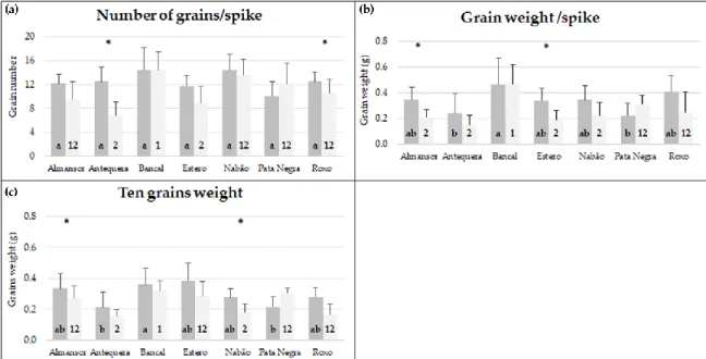 Figure 1. Number of grains/spike (a), grain weight/spike (b), and ten grains weight (c) of plants kept  in  control  conditions  (dark  gray)  and  high  temperature  treatment  (light  gray)