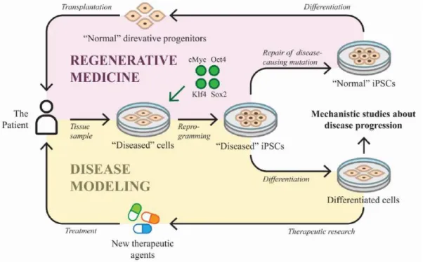 Figure 1.18 – Applications of iPSCs technology 