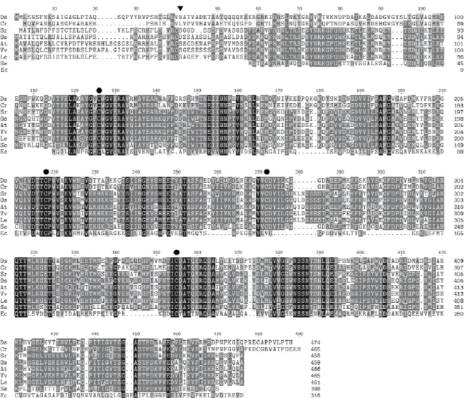 Figure 1. Alignment of HDR sequences from Dunaliella salina (Ds; GenBank accession no