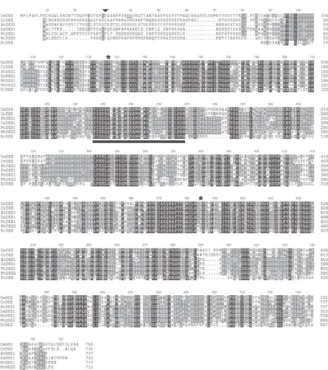 Figure 1. Alignment of DXS sequences from Dunaliella salina (DsDXS; GenBank accession no