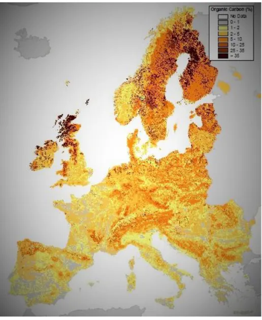 Figure 10 - Topsoil organic carbon in Europe (Jones et al., 2004).  