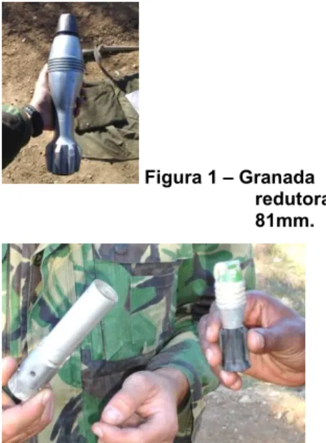 Figura 1 – Granada  