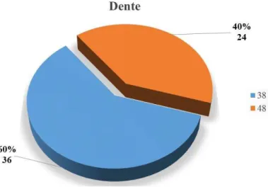 Tabela 5 – Distribuição da amostra por estado de inclusão 