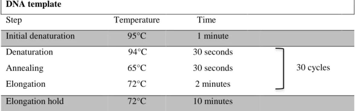 Table 2 - Standard conditions for PCR. 