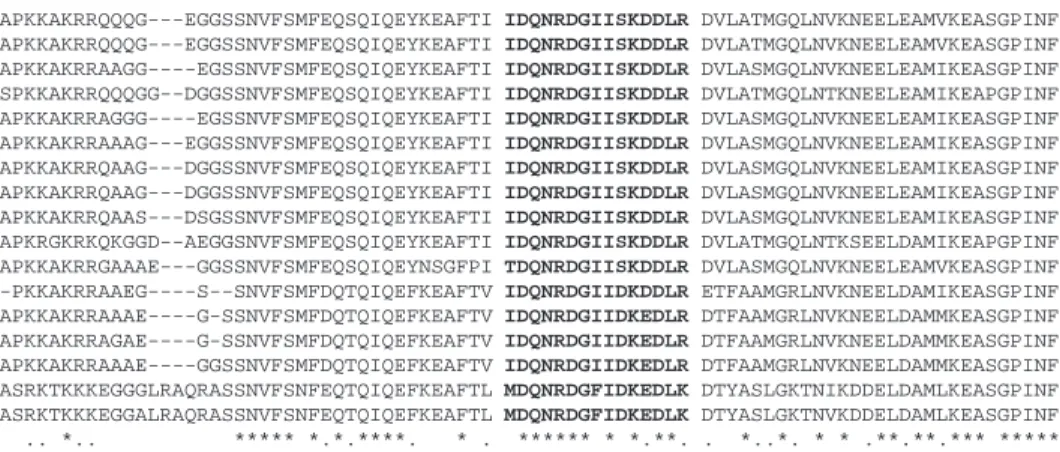 Fig. 2. Alignment of the deduced amino acid sequences of the myosin light chain 2 (MLC2) proteins