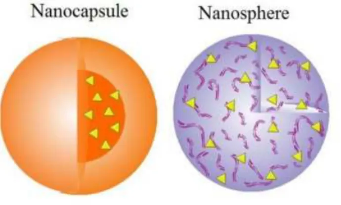 Figura 5- Exemplo esquemático da estrutura de uma nanocapsula e de uma nanoesfera.  (Deda &amp; Araki,  2015) 